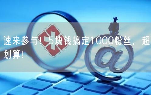 速来参与！5块钱搞定1000粉丝，超划算！
