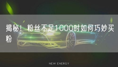 揭秘！粉丝不足1000时如何巧妙买粉