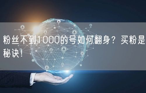 粉丝不到1000的号如何翻身？买粉是秘诀！