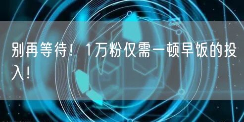 别再等待！1万粉仅需一顿早饭的投入！