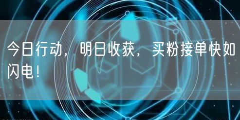 今日行动，明日收获，买粉接单快如闪电！