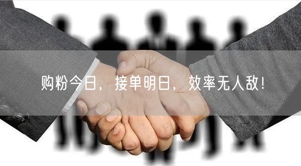 购粉今日，接单明日，效率无人敌！