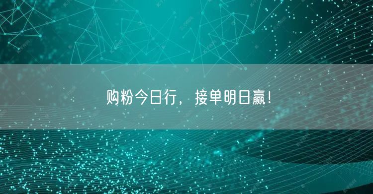 购粉今日行，接单明日赢！