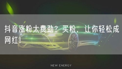 抖音涨粉太费劲？买粉，让你轻松成网红！