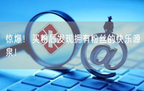 惊爆！买粉后发现拥有粉丝的快乐源泉！