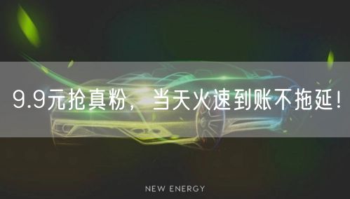 9.9元抢真粉，当天火速到账不拖延！