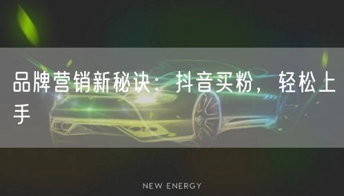 品牌营销新秘诀：抖音买粉，轻松上手