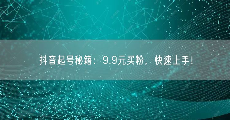 抖音起号秘籍：9.9元买粉，快速上手！