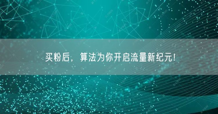 买粉后，算法为你开启流量新纪元！
