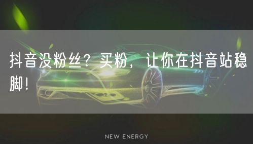 抖音没粉丝？买粉，让你在抖音站稳脚！