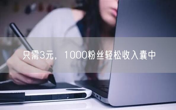 只需3元，1000粉丝轻松收入囊中