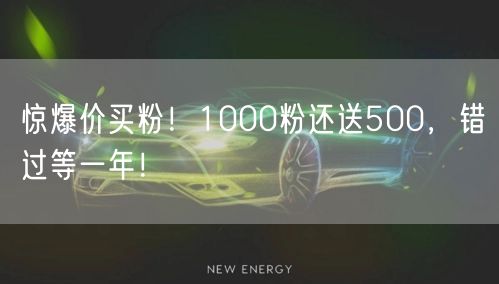 惊爆价买粉！1000粉还送500，错过等一年！