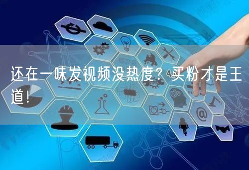 还在一味发视频没热度？买粉才是王道！