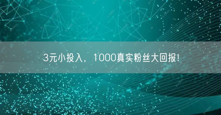 3元小投入，1000真实粉丝大回报！