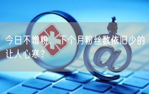 今日不增粉，下个月粉丝数依旧少的让人心寒？