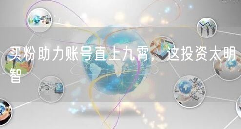 买粉助力账号直上九霄，这投资太明智